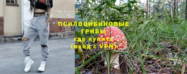 apvp Верхний Тагил