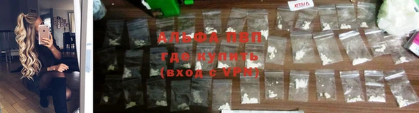 молекула духа Сосновка